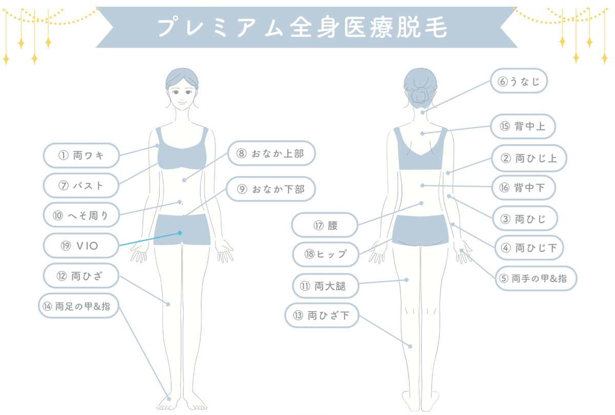 プレミアム全身脱毛