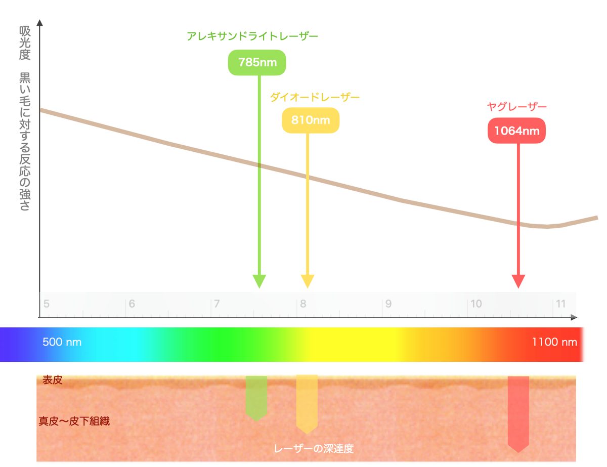 吸光度